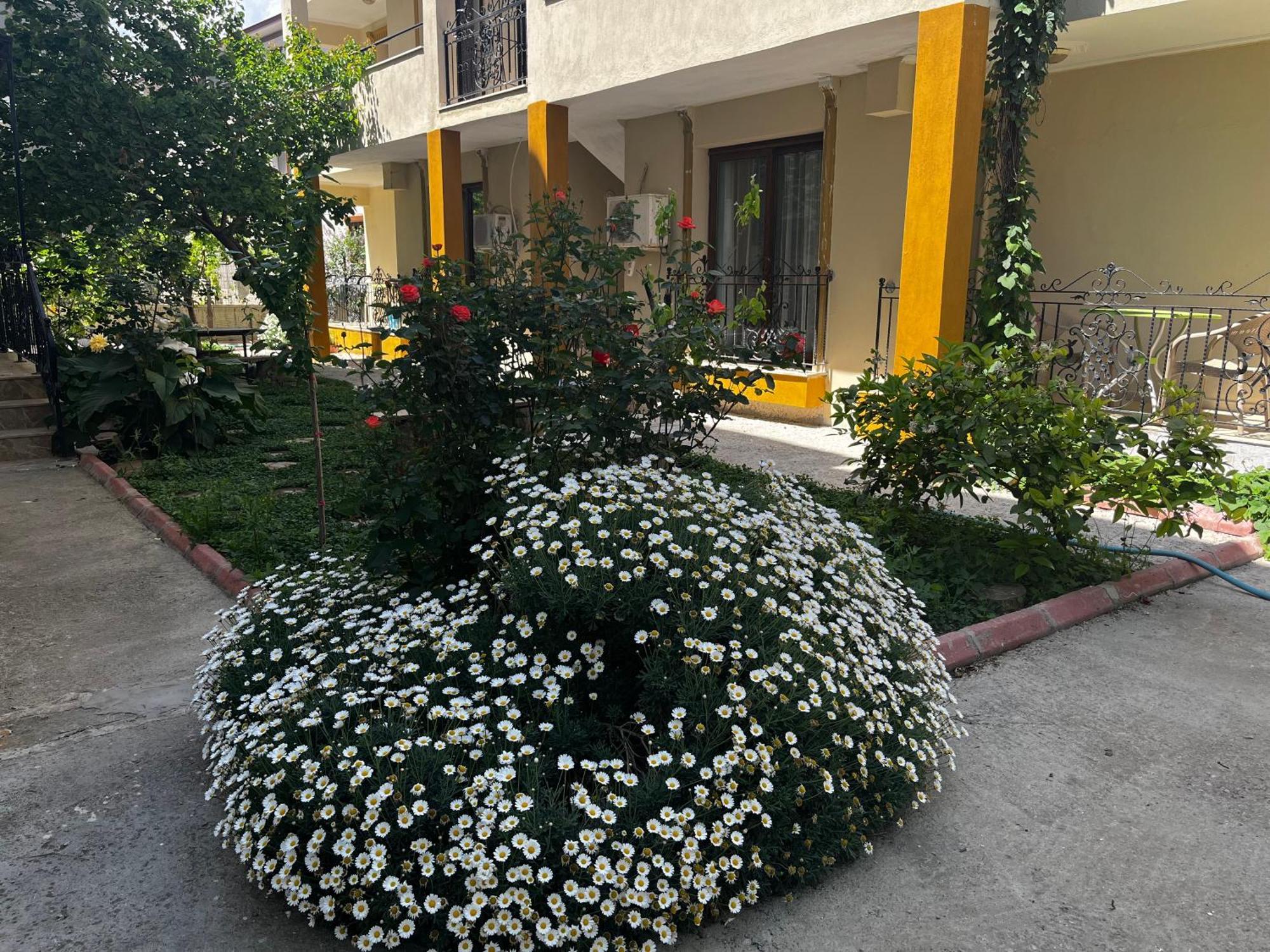 Grand Teoshan Otel Ve Tatil Evleri Seferihisar Exterior foto