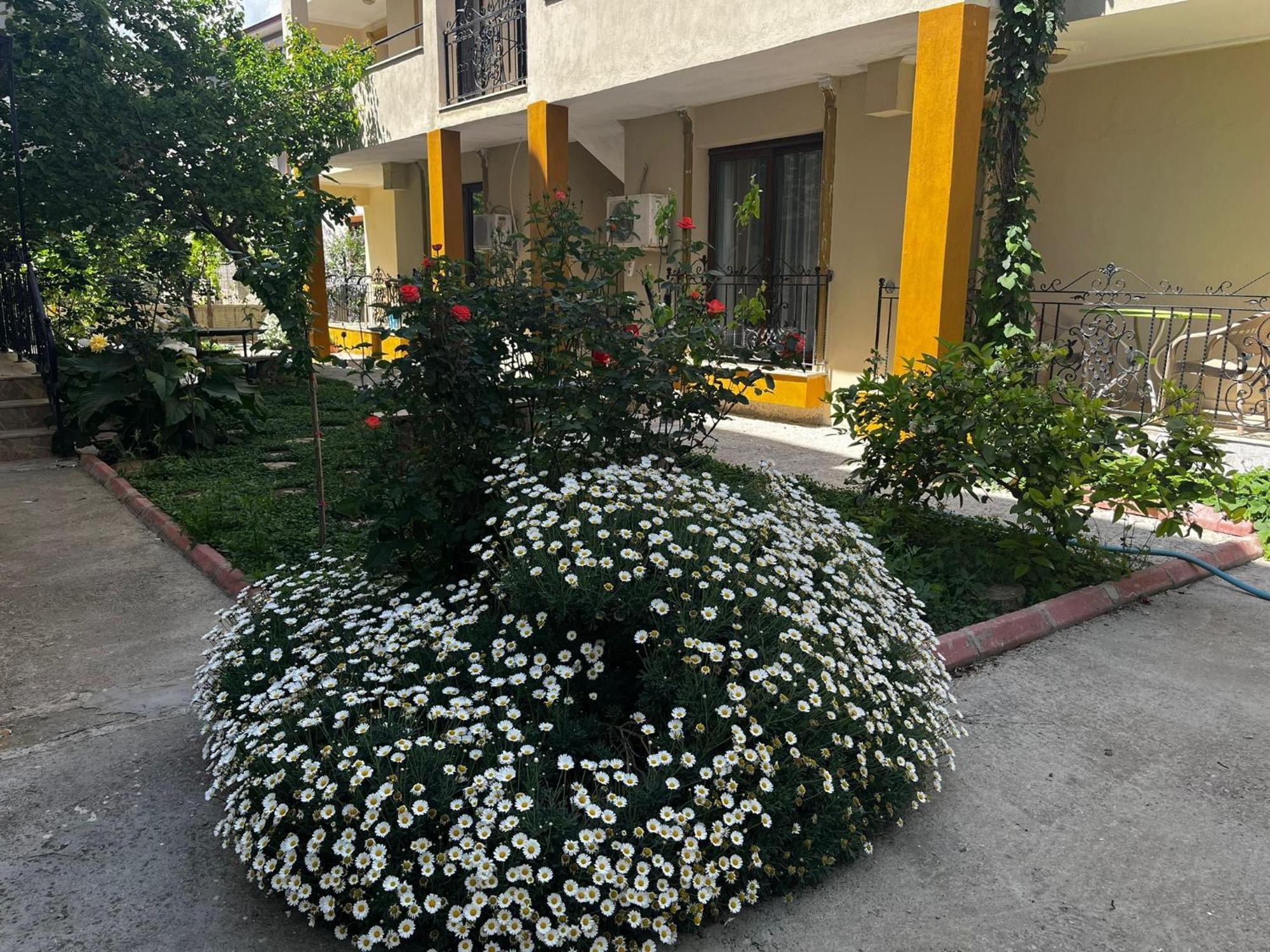 Grand Teoshan Otel Ve Tatil Evleri Seferihisar Exterior foto